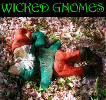 For sale Wicked Gnomes